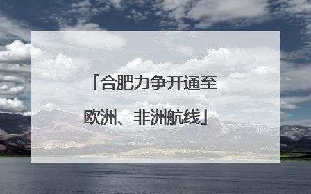 合肥力争开通至欧洲、非洲航线