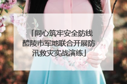 同心筑牢安全防线 醴陵市军地联合开展防汛救灾实战演练