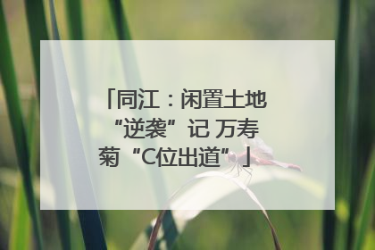 同江：闲置土地“逆袭”记 万寿菊“C位出道”