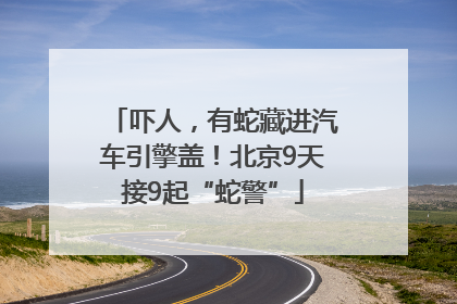 吓人，有蛇藏进汽车引擎盖！北京9天接9起“蛇警”