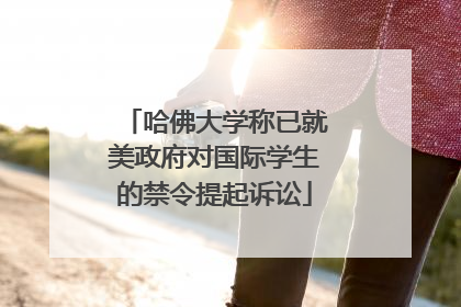 哈佛大学称已就美政府对国际学生的禁令提起诉讼