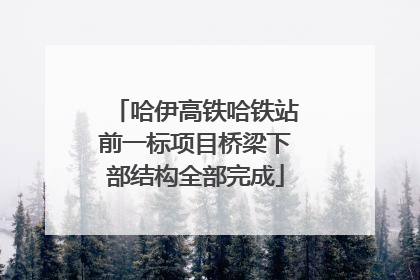哈伊高铁哈铁站前一标项目桥梁下部结构全部完成