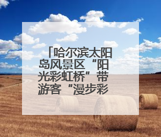 哈尔滨太阳岛风景区“阳光彩虹桥”带游客“漫步彩虹之上”