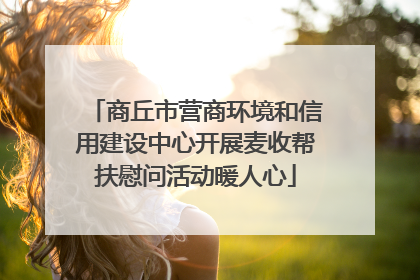 商丘市营商环境和信用建设中心开展麦收帮扶慰问活动暖人心