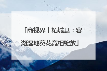 商视界丨柘城县：容湖湿地葵花竞相绽放