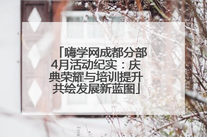 嗨学网成都分部4月活动纪实：庆典荣耀与培训提升共绘发展新蓝图