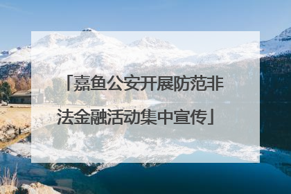 嘉鱼公安开展防范非法金融活动集中宣传