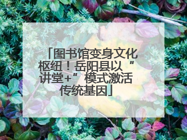图书馆变身文化枢纽！岳阳县以“讲堂+”模式激活传统基因