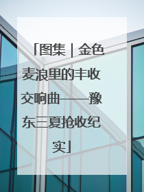 图集｜金色麦浪里的丰收交响曲——豫东三夏抢收纪实