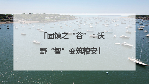 固镇之“谷”：沃野“智”变筑粮安