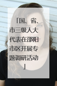 国、省、市三级人大代表在邵阳市区开展专题调研活动