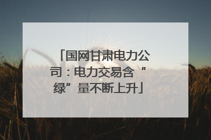 国网甘肃电力公司：电力交易含“绿”量不断上升