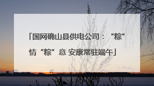国网确山县供电公司：“粽”情“粽”意 安康常驻端午