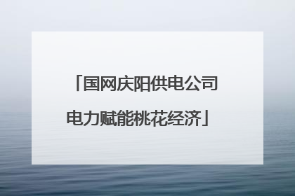 国网庆阳供电公司电力赋能桃花经济