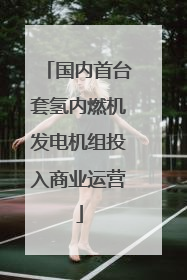 国内首台套氢内燃机发电机组投入商业运营