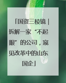 国资三棱镜｜拆解一家“不起眼”的公司，窥见改革中的山东国企