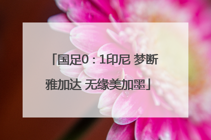 国足0∶1印尼 梦断雅加达 无缘美加墨