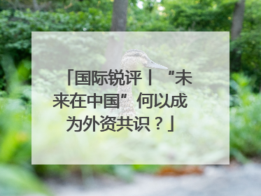 国际锐评丨“未来在中国”何以成为外资共识？