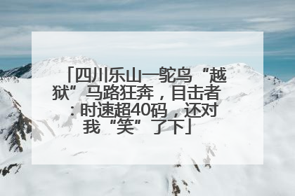 四川乐山一鸵鸟“越狱”马路狂奔，目击者：时速超40码，还对我“笑”了下