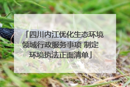 四川内江优化生态环境领域行政服务事项 制定环境执法正面清单