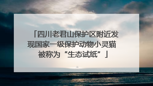 四川老君山保护区附近发现国家一级保护动物小灵猫 被称为“生态试纸”