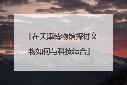在天津博物馆探讨文物如何与科技结合