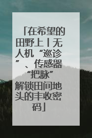 在希望的田野上丨无人机“巡诊”、传感器“把脉” 解锁田间地头的丰收密码