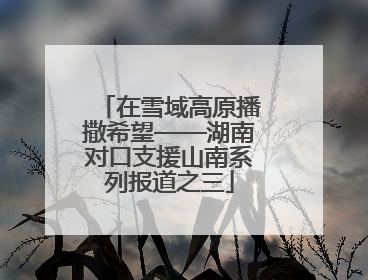 在雪域高原播撒希望——湖南对口支援山南系列报道之三