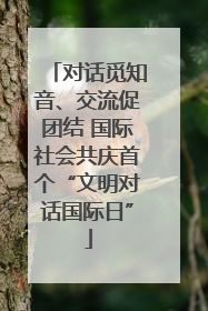 对话觅知音、交流促团结 国际社会共庆首个“文明对话国际日”