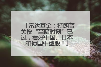 富达基金：特朗普关税“至暗时刻”已过，看好中国、日本和德国中型股！