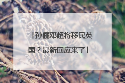 孙俪邓超将移民英国？最新回应来了