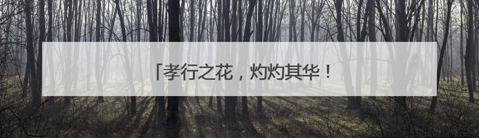 孝行之花，灼灼其华！为济南这个小伙点赞