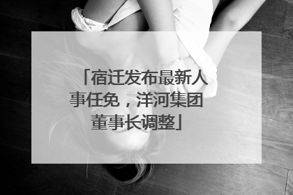宿迁发布最新人事任免，洋河集团董事长调整