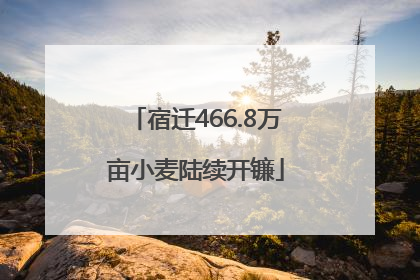 宿迁466.8万亩小麦陆续开镰