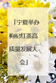 宁夏举办枸杞红茶高质量发展大会