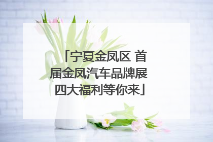 宁夏金凤区 首届金凤汽车品牌展四大福利等你来