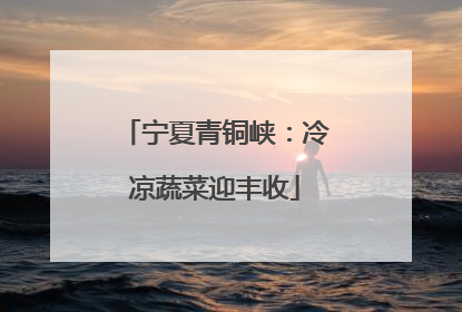 宁夏青铜峡：冷凉蔬菜迎丰收