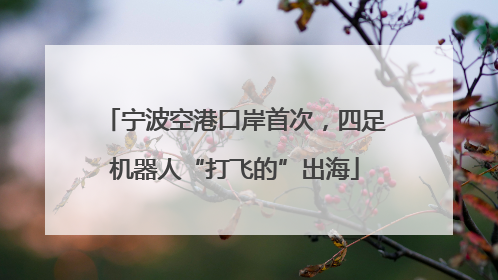 宁波空港口岸首次，四足机器人“打飞的”出海