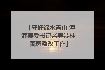 守好绿水青山 漳浦县委书记督导涉林图斑整改工作