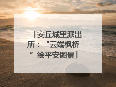 安丘城里派出所：“云端枫桥”绘平安图景