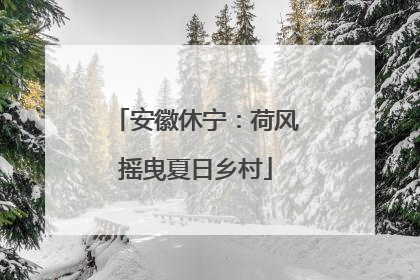 安徽休宁：荷风摇曳夏日乡村