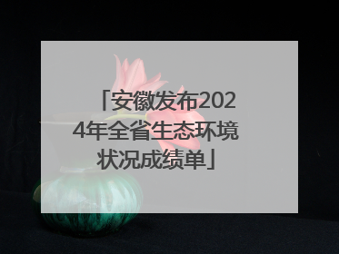 安徽发布2024年全省生态环境状况成绩单
