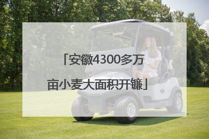 安徽4300多万亩小麦大面积开镰