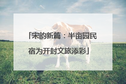 宋韵新篇：半亩园民宿为开封文旅添彩