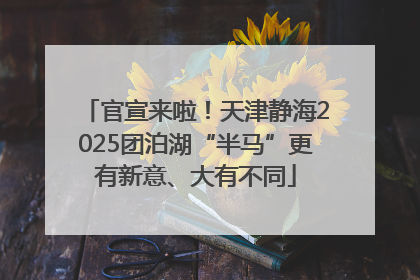 官宣来啦！天津静海2025团泊湖“半马”更有新意、大有不同