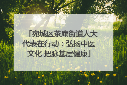 宛城区茶庵街道人大代表在行动：弘扬中医文化 把脉基层健康