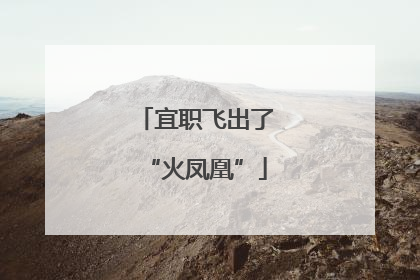 宜职飞出了“火凤凰”