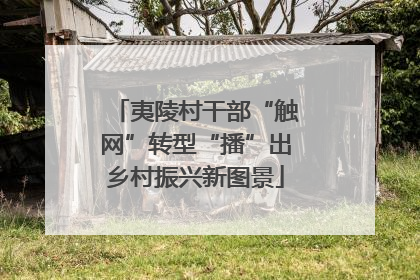 夷陵村干部“触网”转型“播”出乡村振兴新图景