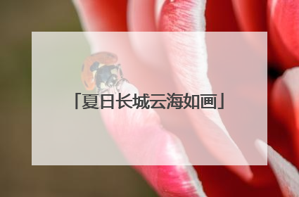 夏日长城云海如画