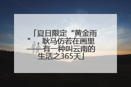 夏日限定“黄金雨”，耿马仿若在画里——有一种叫云南的生活之365天